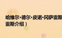 哈维尔·德尔·皮诺·冈萨雷斯（关于哈维尔·德尔·皮诺·冈萨雷斯介绍）