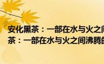 安化黑茶：一部在水与火之间沸腾的中国故事（关于安化黑茶：一部在水与火之间沸腾的中国故事介绍）