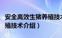 安全高效生猪养殖技术（关于安全高效生猪养殖技术介绍）