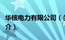 华核电力有限公司（关于华核电力有限公司简介）