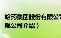 哈药集团股份有限公司（关于哈药集团股份有限公司介绍）