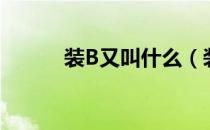 装B又叫什么（装b是什么意思）