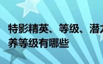 特影精英、等级、潜力、技能、信任的推荐培养等级有哪些 