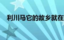 利川马它的故乡就在万里茶道的起点湖北