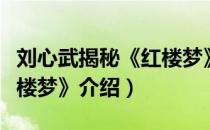 刘心武揭秘《红楼梦》（关于刘心武揭秘《红楼梦》介绍）