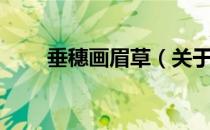 垂穗画眉草（关于垂穗画眉草简介）