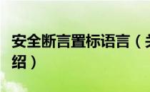 安全断言置标语言（关于安全断言置标语言介绍）