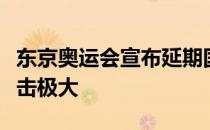 东京奥运会宣布延期国乒老将丁宁刘诗雯受冲击极大