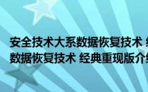 安全技术大系数据恢复技术 经典重现版（关于安全技术大系数据恢复技术 经典重现版介绍）