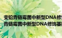 变铅青链霉菌中新型DNA修饰基因簇的遗传分析（关于变铅青链霉菌中新型DNA修饰基因簇的遗传分析介绍）