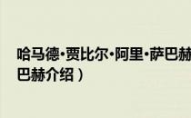 哈马德·贾比尔·阿里·萨巴赫（关于哈马德·贾比尔·阿里·萨巴赫介绍）