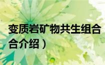 变质岩矿物共生组合（关于变质岩矿物共生组合介绍）