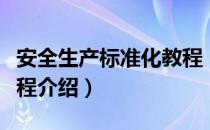 安全生产标准化教程（关于安全生产标准化教程介绍）