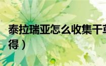 泰拉瑞亚怎么收集干草（泰拉瑞亚干草怎么获得）