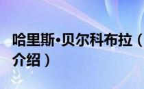 哈里斯·贝尔科布拉（关于哈里斯·贝尔科布拉介绍）