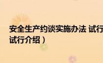 安全生产约谈实施办法 试行（关于安全生产约谈实施办法 试行介绍）