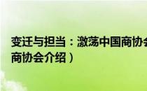 变迁与担当：激荡中国商协会（关于变迁与担当：激荡中国商协会介绍）