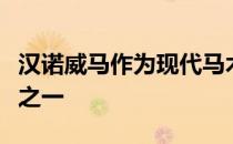 汉诺威马作为现代马术运动最成功的培育品种之一