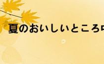 夏のおいしいところ中文歌词（解夏歌词）