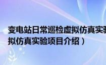 变电站日常巡检虚拟仿真实验项目（关于变电站日常巡检虚拟仿真实验项目介绍）