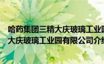 哈药集团三精大庆玻璃工业园有限公司（关于哈药集团三精大庆玻璃工业园有限公司介绍）