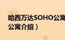 哈西万达SOHO公寓（关于哈西万达SOHO公寓介绍）