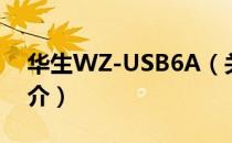 华生WZ-USB6A（关于华生WZ-USB6A简介）