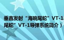 垂直发射“海响尾蛇”VT-1导弹系统（关于垂直发射“海响尾蛇”VT-1导弹系统简介）