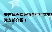 安吉县天荒坪镇余村村党支部（关于安吉县天荒坪镇余村村党支部介绍）