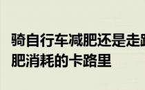 骑自行车减肥还是走路减肥骑自行车和走路减肥消耗的卡路里