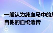 一般认为纯血马中的灰色毛色有很大可能是来自他的血统遗传