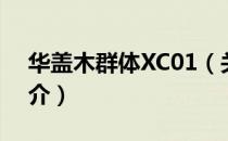 华盖木群体XC01（关于华盖木群体XC01简介）