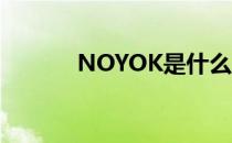 NOYOK是什么牌子（noyok）