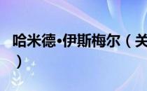 哈米德·伊斯梅尔（关于哈米德·伊斯梅尔介绍）