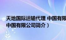 天地国际运输代理 中国有限公司（关于天地国际运输代理 中国有限公司简介）