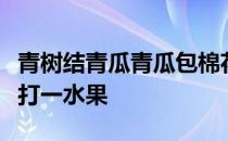 青树结青瓜青瓜包棉花棉花包梳子梳子包豆芽打一水果