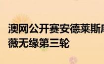 澳网公开赛安德莱斯库不敌中国台北选手谢淑薇无缘第三轮