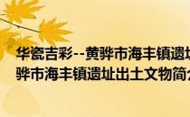 华瓷吉彩--黄骅市海丰镇遗址出土文物（关于华瓷吉彩--黄骅市海丰镇遗址出土文物简介）