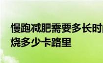 慢跑减肥需要多长时间 每天慢跑30分钟能燃烧多少卡路里 