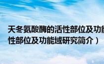 天冬氨酸酶的活性部位及功能域研究（关于天冬氨酸酶的活性部位及功能域研究简介）