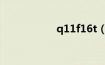 q11f16t（q11f 16）