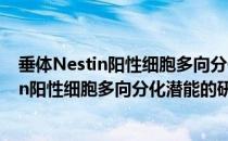 垂体Nestin阳性细胞多向分化潜能的研究（关于垂体Nestin阳性细胞多向分化潜能的研究简介）