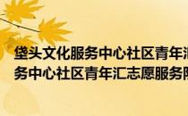 垡头文化服务中心社区青年汇志愿服务队（关于垡头文化服务中心社区青年汇志愿服务队简介）