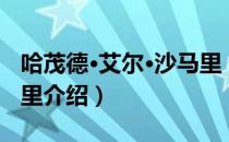 哈茂德·艾尔·沙马里（关于哈茂德·艾尔·沙马里介绍）