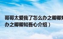 哥哥太爱我了怎么办之卿卿知吾心（关于哥哥太爱我了怎么办之卿卿知吾心介绍）