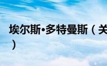 埃尔斯·多特曼斯（关于埃尔斯·多特曼斯简介）