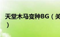 天堂木马变种BG（关于天堂木马变种BG简介）