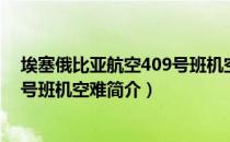 埃塞俄比亚航空409号班机空难（关于埃塞俄比亚航空409号班机空难简介）