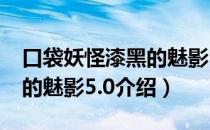 口袋妖怪漆黑的魅影5.0（关于口袋妖怪漆黑的魅影5.0介绍）