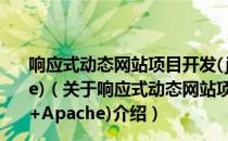 响应式动态网站项目开发(jQuery+PHP+MySQL+Apache)（关于响应式动态网站项目开发(jQuery+PHP+MySQL+Apache)介绍）